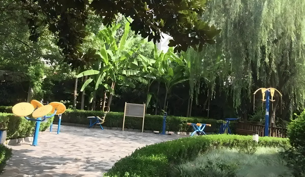 古井迷局
