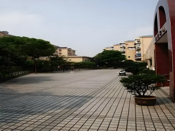 女人这辈子的选修课：离婚何惧